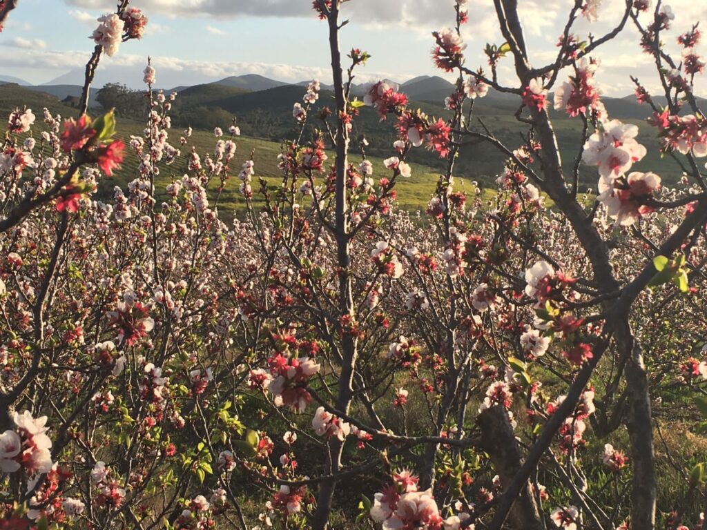 96627713-6BF6-4D8C-94EE-1EE6AE96C303