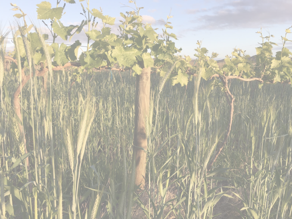 Screenshot 2021-09-27 at 21.10.00