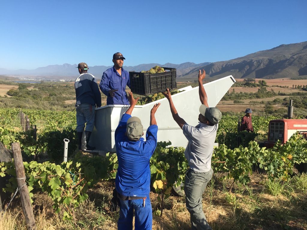 WhatsApp Image 2021-02-08 at 8.41.45 AM (4)