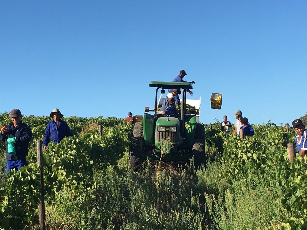 WhatsApp Image 2021-02-08 at 8.41.45 AM (6)