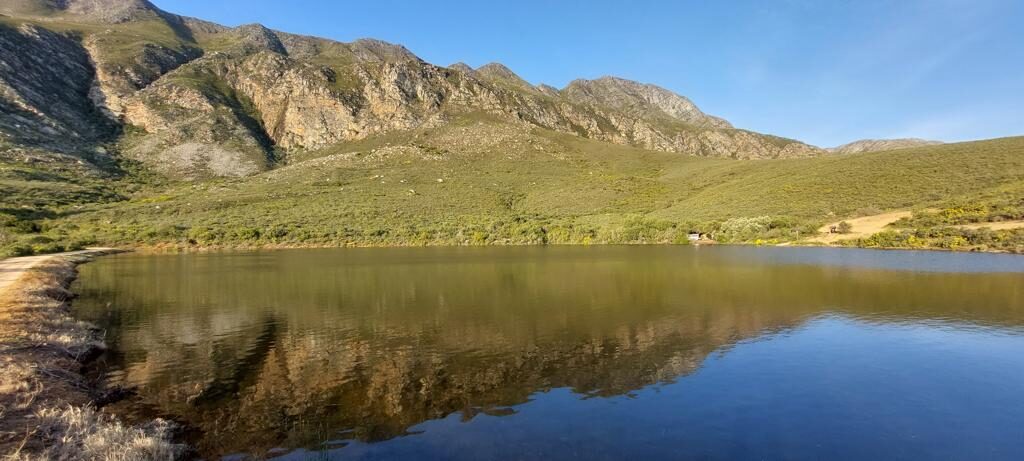 WhatsApp Image 2021-11-17 at 7.45.06 PM Swimming dam