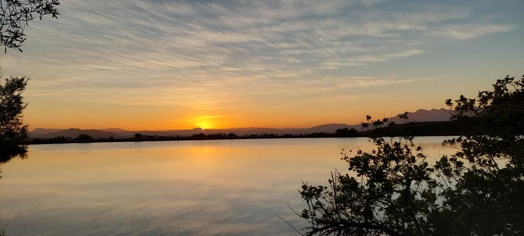 WhatsApp Image 2021-11-17 at 7.45.37 PM WhatsApp Image 2021-11-17 at 7.45.37 PM