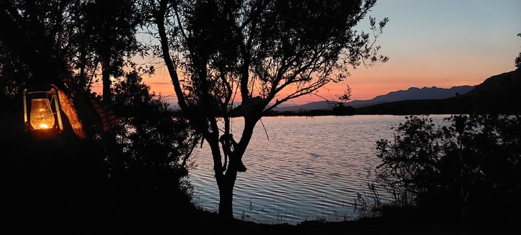 WhatsApp Image 2021-11-17 at 7.46.00 PM WhatsApp Image 2021-11-17 at 7.46.00 PM