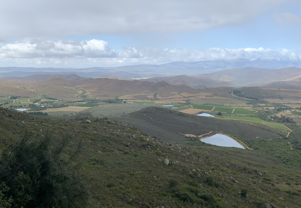 Screenshot 2022-11-27 at 18.20.59 Screenshot 2022-11-27 at 18.20.59